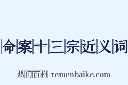 命案十三宗近义词是什么意思的图片